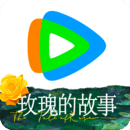 甜一 玩物直播回放